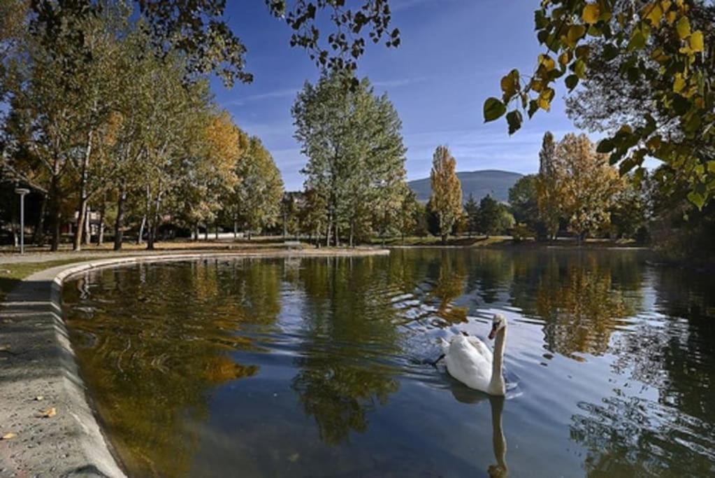 Ideal Parejas - Tranquilidad Y Naturaleza - Vistas Al Lago Osséja Exterior photo